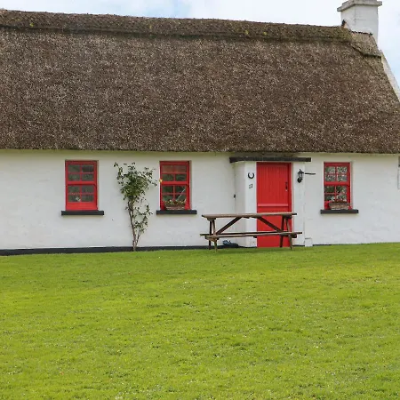No. 9 Tipperary Thatched Cottages 度假居 纳奈赫